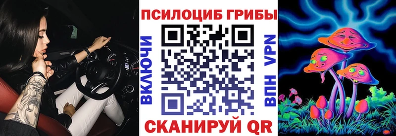 где можно купить Брянск Галлюциногенные грибы Magic Shrooms